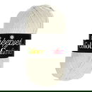 Scheepjes Colour Crafter 2017 Verviers - grijs parel