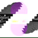 Scheepjes Colour Crafter 2003 Brugge - paars neon