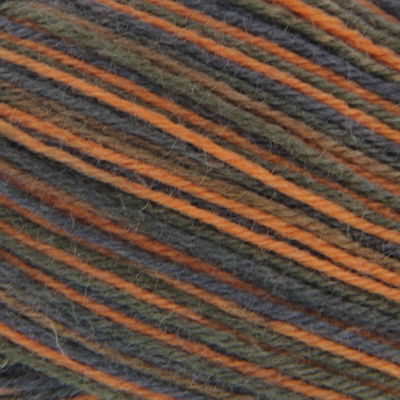 Phildar Phil folk 100 - 1305 Lyon op=op 