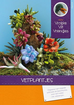 Magazine 20 vetplantjes op=op uit collectie 