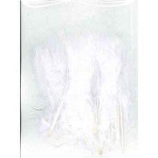 Veer 10 a 15 cm ca - wit 15 stuks 