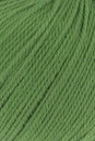 Lang Yarns Tissa 20.0016 lente groen