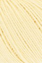 Lang Yarns Tissa 20.0049 licht geel
