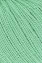 Lang Yarns Tissa 20.0174 lente groen 