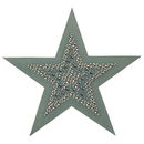 applicatie ster 10130 027 licht leger groen (14 cm)