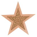 applicatie ster 10130 749 zalm