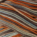 Lammy Yarns Rio multi 632 roest gemeleerd