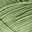 Scheepjes softfun 2606 oud groen