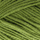 Scheepjes softfun 2616 leger groen