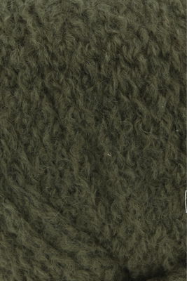 Lang Yarns Cashmere Light 950.0098 olijf 