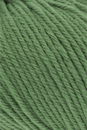 Lang Yarns Touring 68.0017 groen (op=op uit collectie)