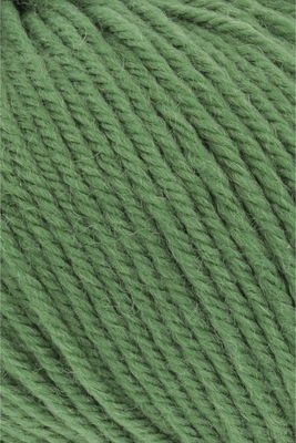 Lang Yarns Touring 68.0017 groen op=op uit collectie 