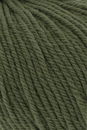 Lang Yarns Touring 68.0198 linde groen (op=op uit collectie)