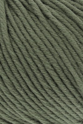Lang Yarns Merino plus 152.0397 bosgroen