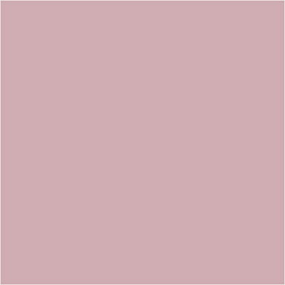 Plus Color acrylverf 39620 dusty rose 60ml 