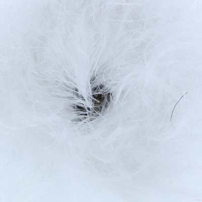 Lammy Yarns Casino 0005