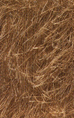 Brazilia 12 zand op=op 