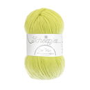 Scheepjes Unity - Our tribe 878 pistachio branch