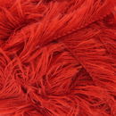 Plume 043 rood