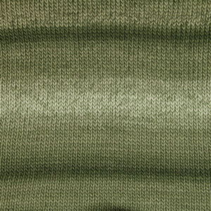 DROPS Big Delight 20 regenwoud