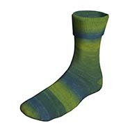 Lang Yarns Super soxx color 4 draads 901.0158 op=op 