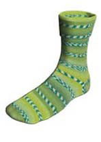 Lang Yarns Super soxx color 4 draads 901.0209 op=op uit collectie 