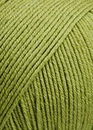 Lang Yarns Oslo 985.0097 oud linde groen (op=op)