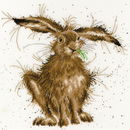 Borduurpakket dieren - Hannah Dale Hare Brained