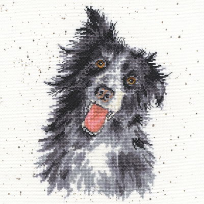 Borduurpakket hond - Hannah Dale Collie
