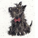 Borduurpakket hond - Hannah Dale Scottie