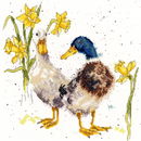 Borduurpakket dieren - Hannah Dale Ducks and daffs