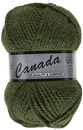 Lammy Yarns Canada 079 mos groen