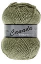 Lammy Yarns Canada 076 oud linde groen