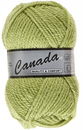 Lammy Yarns Canada 277 linde groen
