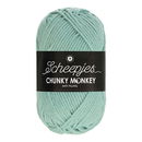 Scheepjes Chunky Monkey 1820 mist