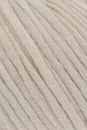 Lang Yarns Wooladdicts Happiness 1013.0039 beige