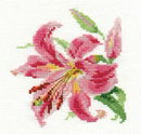 Borduurpakket bloemen - Lily 0-118