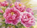 Borduurpakket bloemen Peonies al-2-35 (op=op)