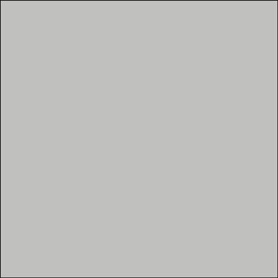 Rits deelbaar 55 cm - licht grijs 