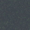 Vilt 100% wol - 3 mm grijs 865 breedte 50 cm (op=op uit collectie)