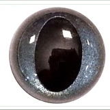 Ogen 12 mm kat - parel blauw 3 paar 