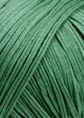Lang Yarns Copenhagen 1035.0017 groen (op=op uit collectie)