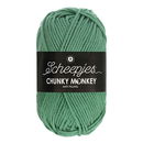 Scheepjes Chunky Monkey 1725 eucalyptus