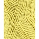 Phildar Phil Tropical Absinthe (op=op 50-2)