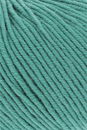 Lang Yarns Merino 120 34.0517 groen