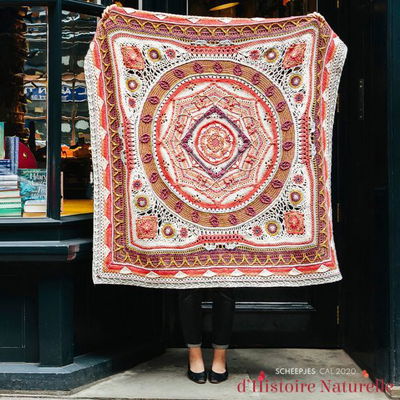 Cal 2020 Scheepjes Dhistoire Naturelle SW - Conchology