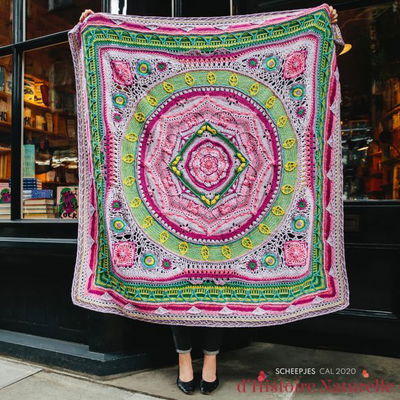 Cal 2020 Scheepjes Distoire Naturelle SW - Mineralogy