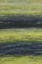 Lang Yarns Dipinto 975.0014 geel groen (op=op)