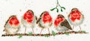 Borduurpakket dieren - Hannah Dale Rockin Robins
