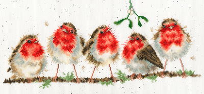 Borduurpakket dieren - Hannah Dale Rockin Robins